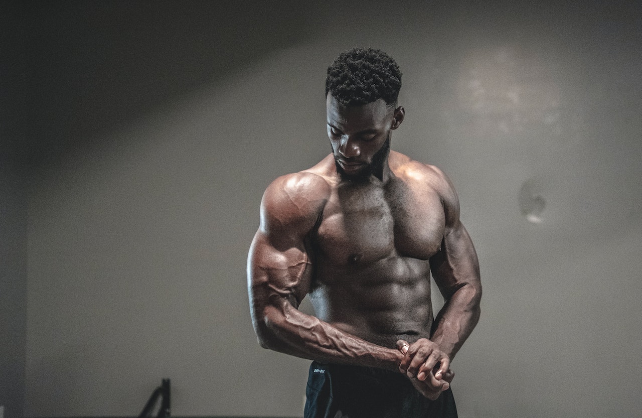 muscle